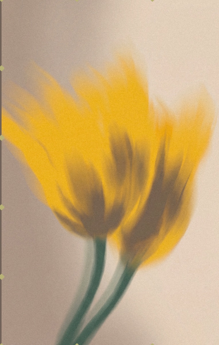 Tulipa — identidade da Meso Clinic